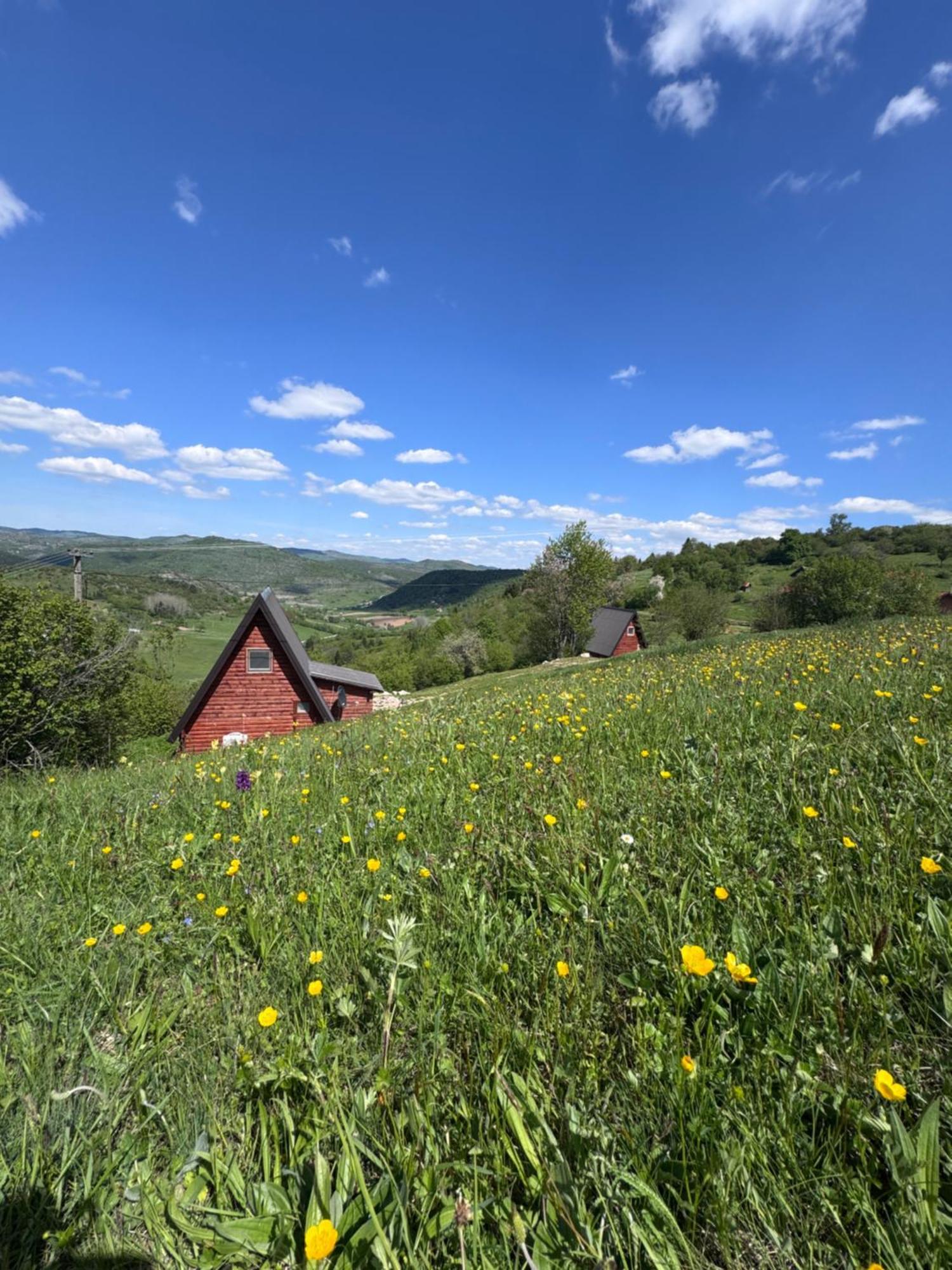 Uvacki Raj Villa Radijevici Exteriör bild