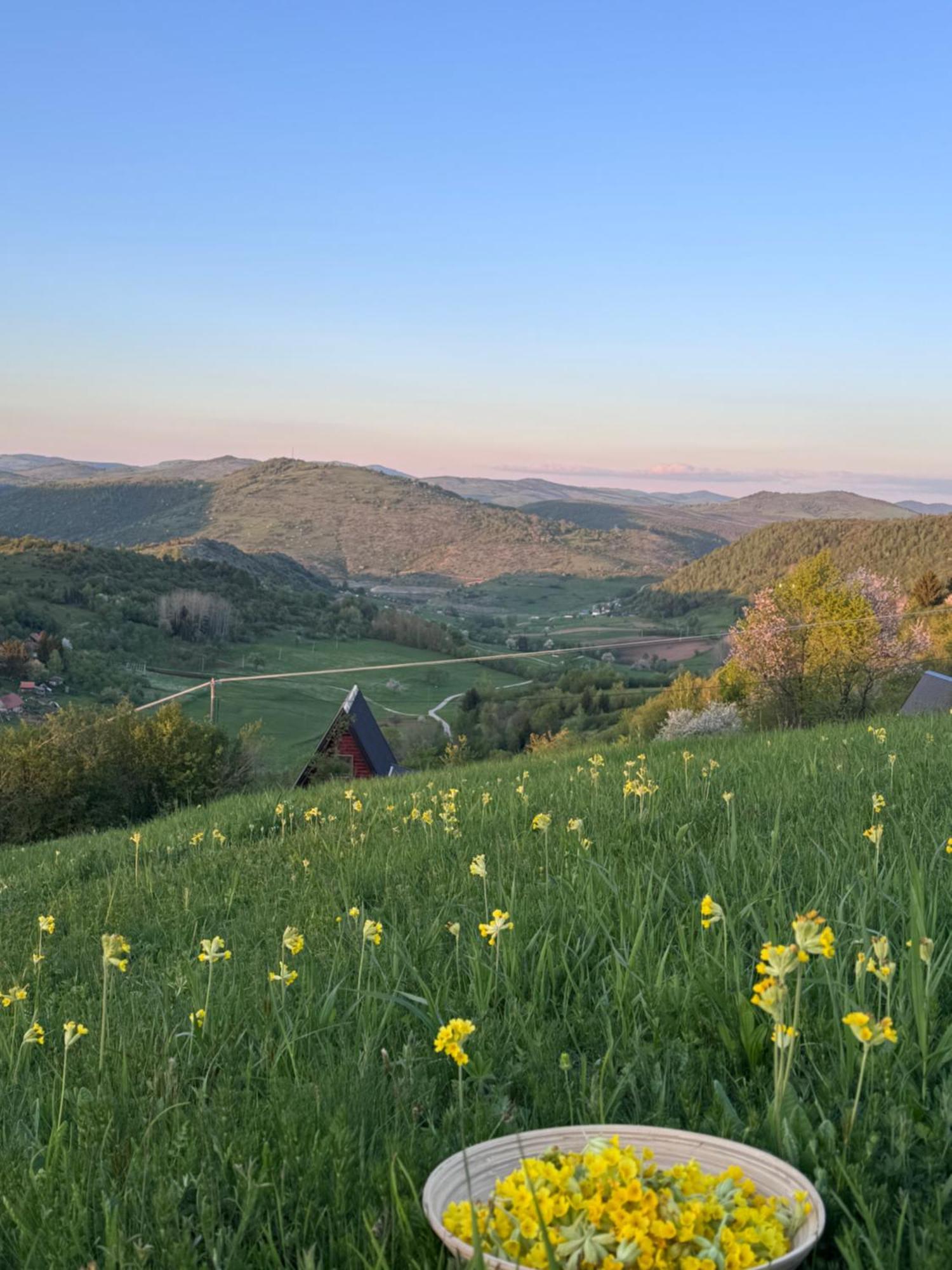 Uvacki Raj Villa Radijevici Exteriör bild
